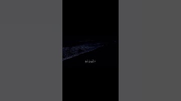 اجمل حالات واتس اب قران كريم بصوت جميل جدا #ياحسرة_على_العباد