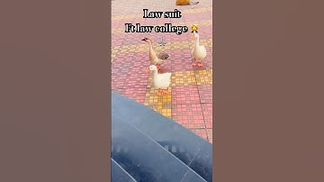 A Day in my law college #minivlog  #vlog #viral #shortvideo