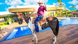 MEU CAVALO GIGANTE CHEGOU NA FAZENDA 🐴🤠