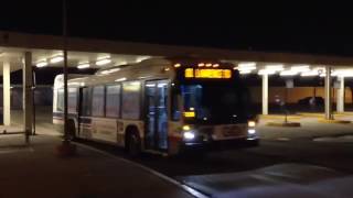 CTA NovaLFS New Bus Route 81 Lawrence