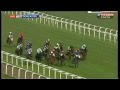 Crazy horse race! - YouTube