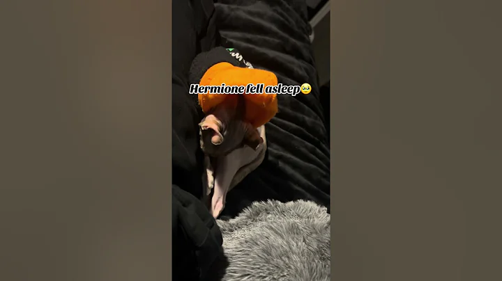 Watch the video about Sleepy baby girl 🥹 #explorepage #fyp #pet #sphynx #hairlesscat #cat #ditl #sleepy #naptime