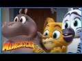 DreamWorks Madagascar | Great Escape Mission | Madagascar: A Little Wild | Kids Movies