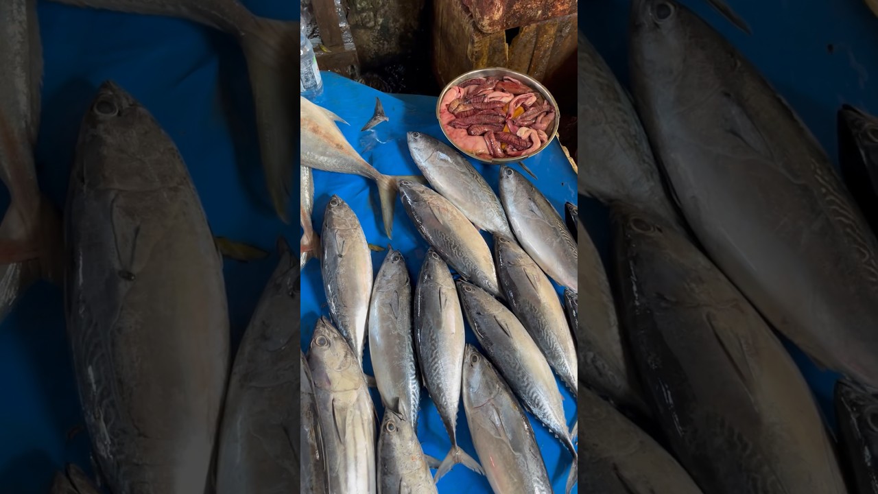 Pasar ikan #pasarikan #fishing #pasarikanmodern #pedagangikan # ...