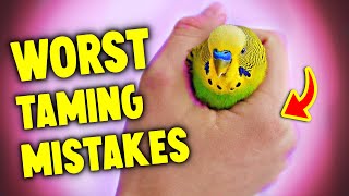 5 Taming Mistakes Bird Owners Make