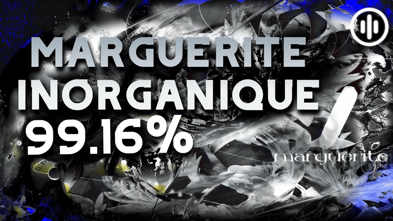 marguerite inorganique [pale nostalgie] 961,183 First 99%