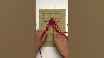 Macrame turtle keychain 🐢#macrame #keychains #keychain #diy #diycrafts #turtle #tartaruga #craft