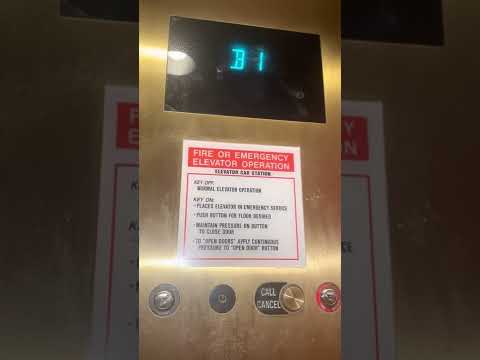 Vive la mejor experiencia de entretenimiento en Winpot Casino Tonalá