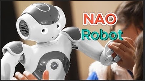 NAO: Personal Robot Teaching Assistant