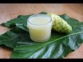 Natural noni lavender multipurpose salve diy recipe