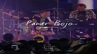 Story WA Lirik Lagu Pamer Bojo - Didi Kempot   Terjemahannya