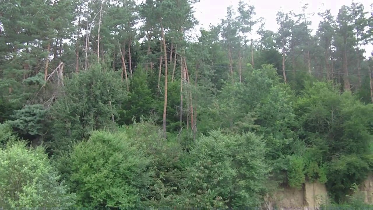 Села Буданів та Долина \ Budaniv and Dolyna villages