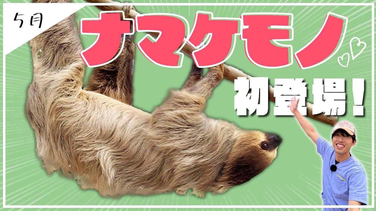 Utsunomiya Zoo] First appearance! Introducing the adorable and