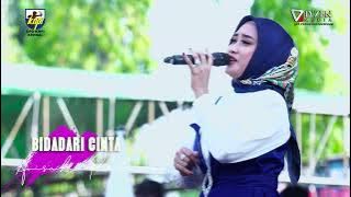 Anisa Rahma-Bidadari cinta-New Pallapa live KNPI Kendal