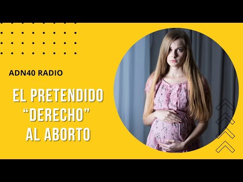 Diana Gamboa nos trae una discusión legal sobre el aborto | La Espuma de los días #adn40radio