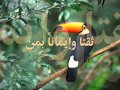 أشكوا إلى الله الكروب