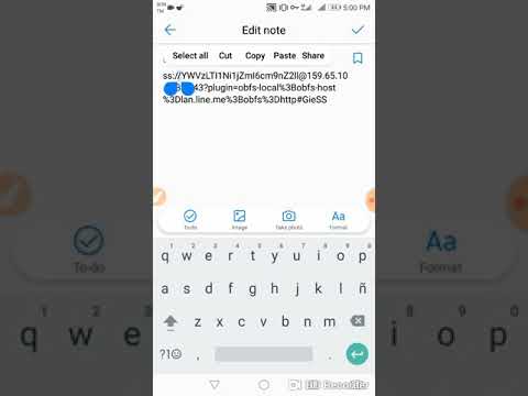 Shadowsocks with obfs plugin