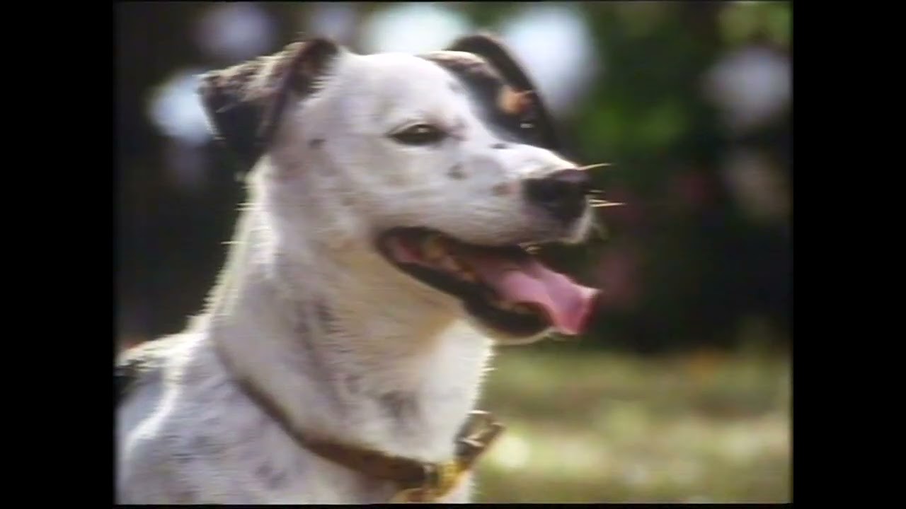 NZ TV Commercial - Telecom - Friends and Family National Plan (1992) [LQ]