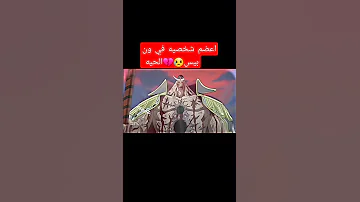 دك حزن موت الحيه بيضاء ون بيس 