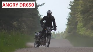 ANGRY DR650 with DOMINATOR MUFFLER