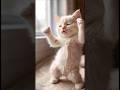 cat Mera girlfriend ka Chitthi Aaya Hai🫢#cat #shorts