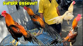 Download Lagu Pasar Pedan Klaten Penuh Kejutan Bosku Full bagusan Komplit Banyak Superan yang hadir ada kopi susu MP3