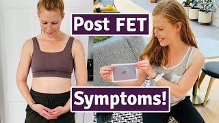 My Symptoms Post Embryo Transfer \/ My Life After FET