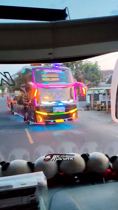 MOMEN KIDS PANDA KETEMU MOONEYES   BLACK PINK. #bus #remix #shorts