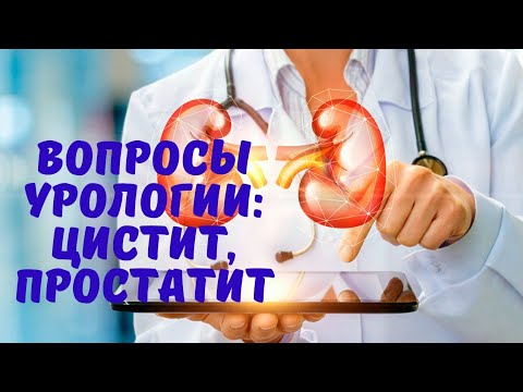 Факторы риска развития мочекаменной болезни. Цистит и простатит. Цистит и простатит отличия. Цистит и простатит. Цистит и простатит.