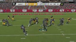 Madden 23 Wildcat