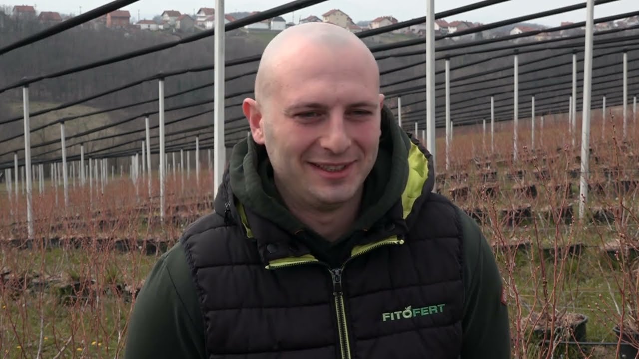 ŠIRE SE ZASADI BOROVNICE