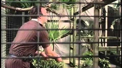 Zoo Tycoon 2   PC   Commercial  Trailer   2004   Microsoft