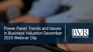 Power Panel: Trends and Issues in BV December 2025 Webinar Clip