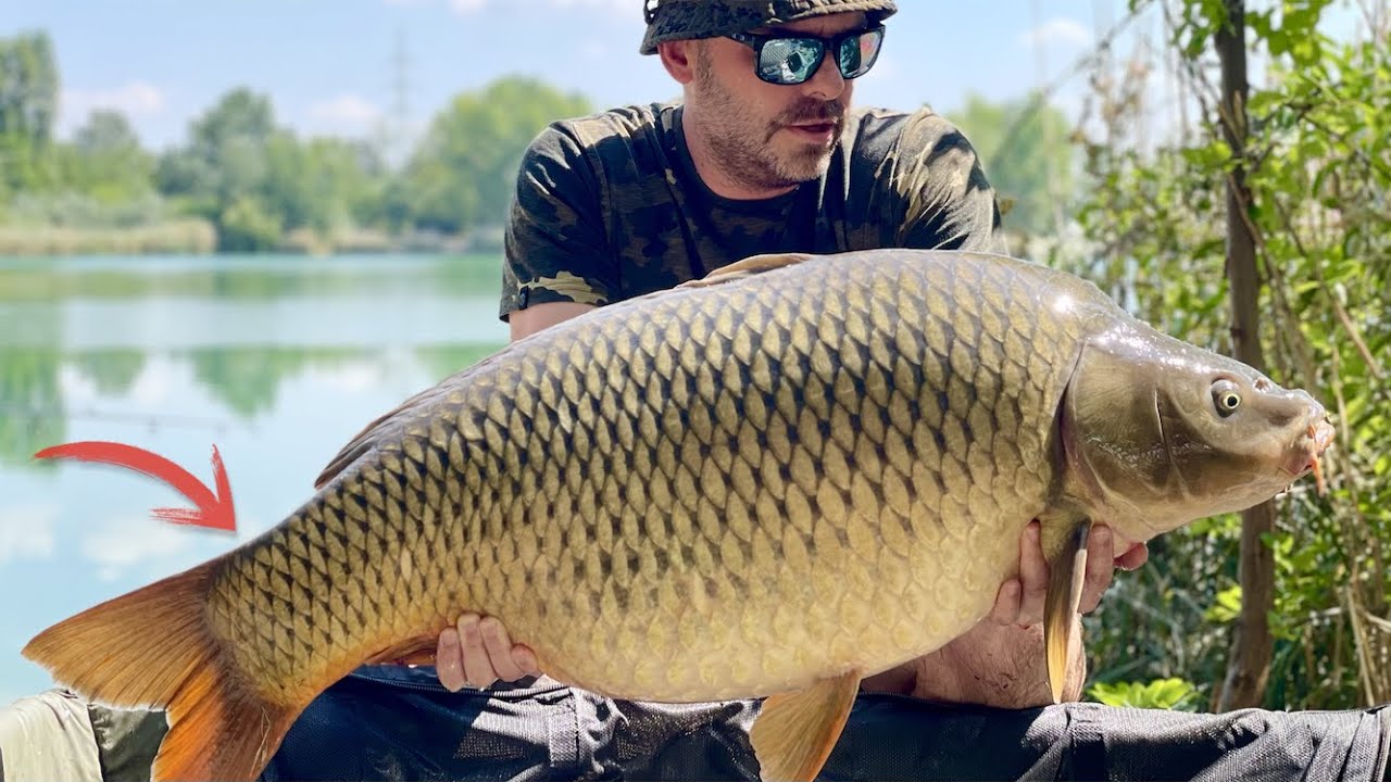 20 kg felett láb alól | Szavanna horgásztó