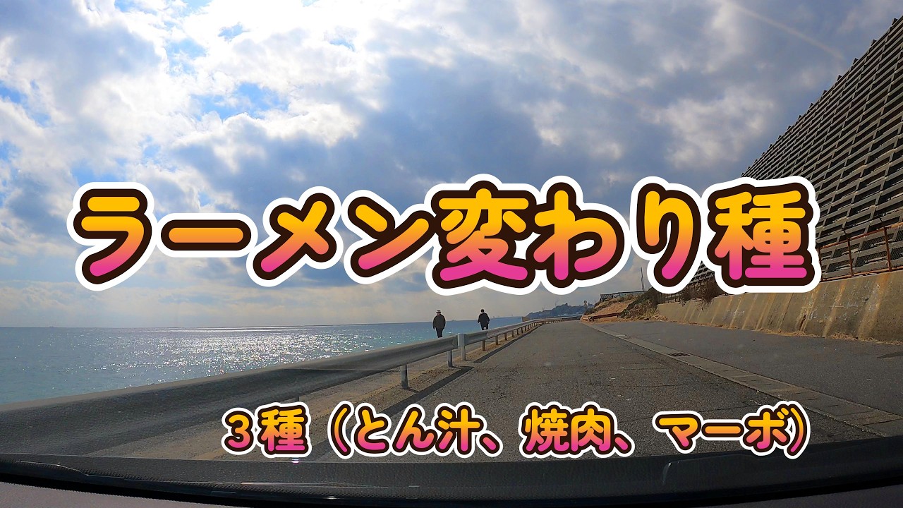 【興味津々！どんな味？】ラーメン変わり種３種（とん汁、焼肉、マーボ）で腹パン！日立市2軒