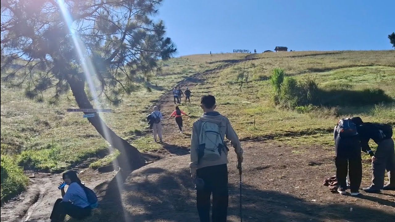 Jelajah BUKIT RIMPAK sabananya gunung slamet jalur pendakian sawangan # ...
