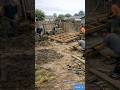 A neglected suburban backyard transformed into luxurious backyard  #reels #viral #trending #shorts