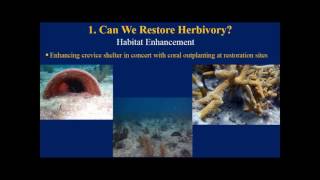Incorporating Ecological Processes into Restoration, Brian Reckenbeil, FWC
