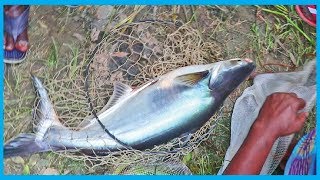 Best Fishing Tournament Village by Fishing Hook (Part 16) | Fish Corn