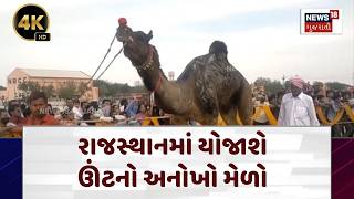 Rajasthan Camal Festival News રજસથનમ યજશ ઊટન અનખ મળ Camal Festival N18V 4K