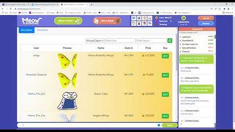 Meow Playground _Indispensable_ Market Introduction