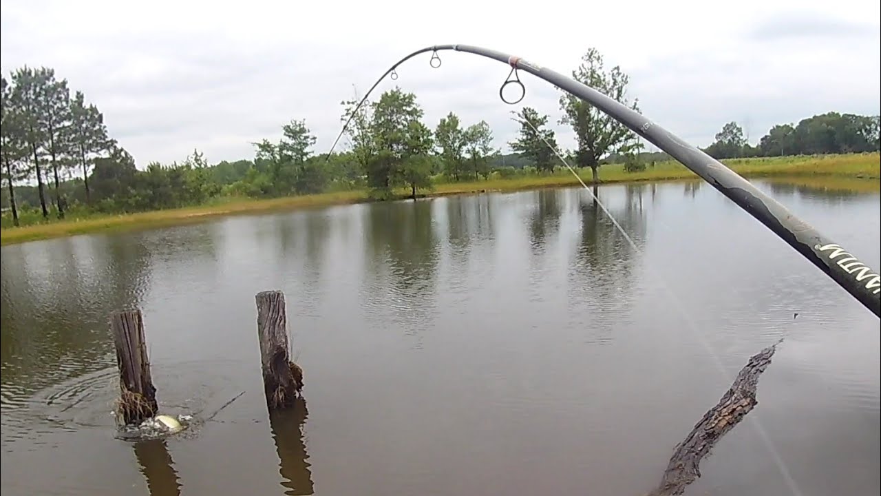 Catfishing With Corn!!! YouTube