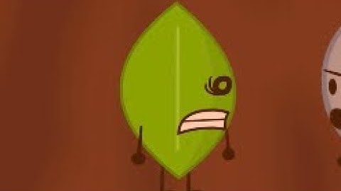 Why I hate Leafy (Battle for Dream Island)