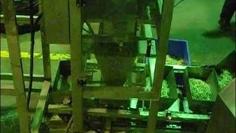 bean sprout automatic packing machine