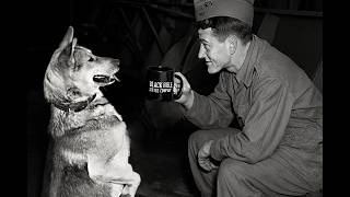 The Spirit That Built America Lives On