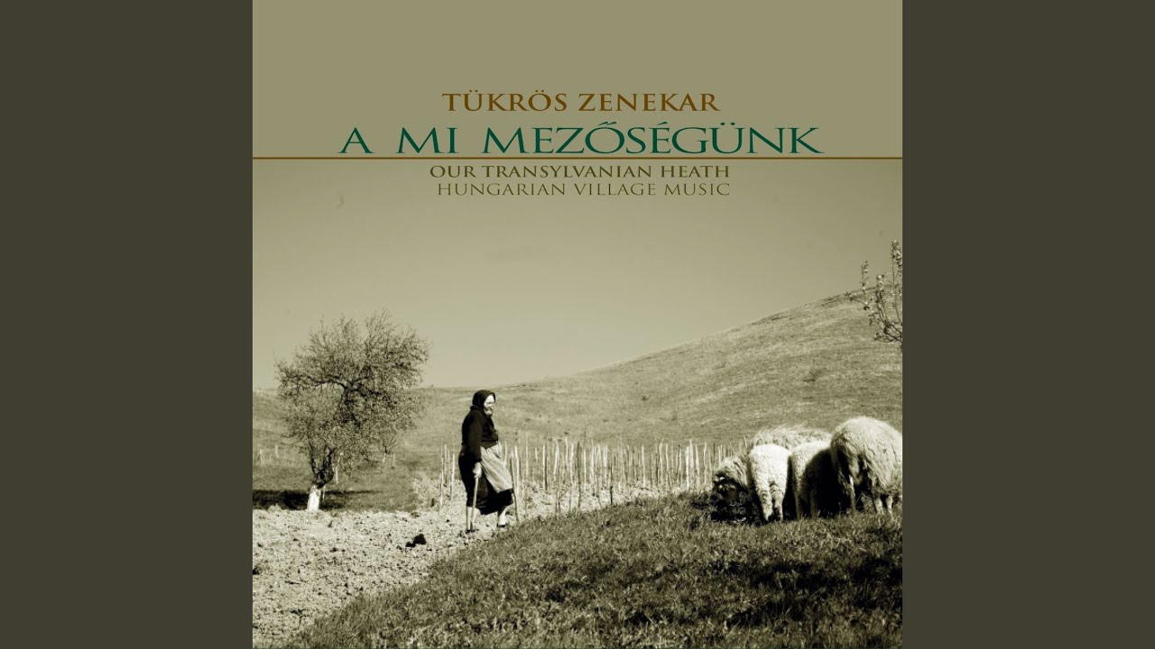 Bonchidai sűrű csárdás, lassú és bărbunc