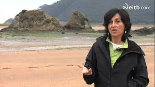 Urdaibaiko geologia gunea ezagutu dugu 'Teknopolis'en