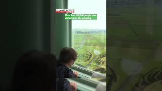 Demon Slayer Rice Paddy Draws Anime Fans To Town North Of Tokyoーnhk World-Japan News