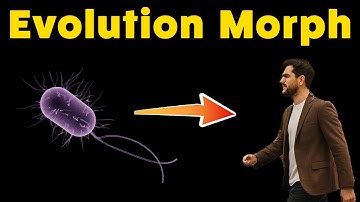 HUMAN Evolution from Bacteria to Fish to You! (Song Morph)