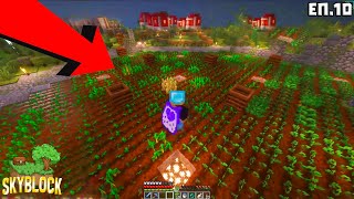 :   ! | Minecraft Skyblock .10